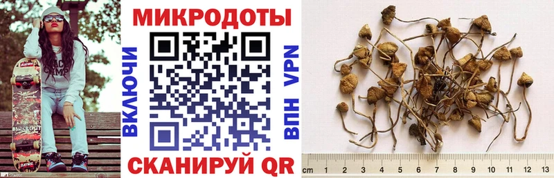 Галлюциногенные грибы ЛСД  omg сайт  Балей 
